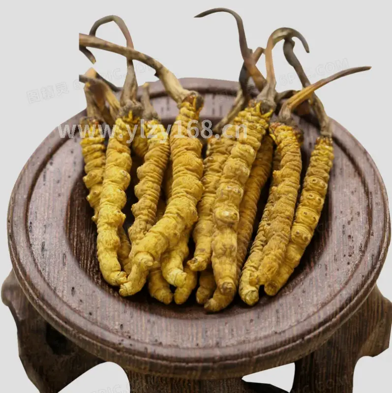 重庆按摩