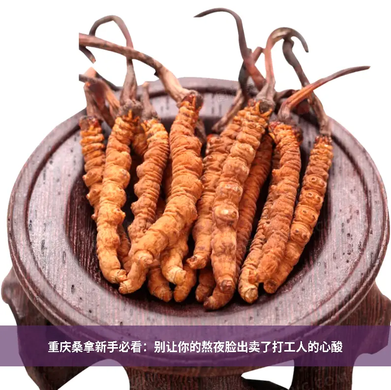 脆皮打工人